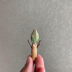 10000.bud 冬芽 6枚目の画像