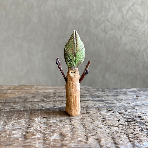 10000.bud 冬芽 1枚目の画像