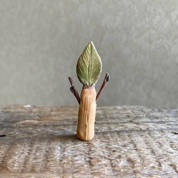 10000.bud 冬芽 4枚目の画像