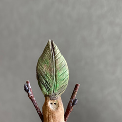 10000.bud 冬芽 5枚目の画像