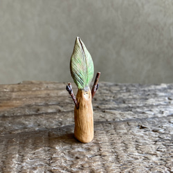 10000.bud 冬芽 2枚目の画像