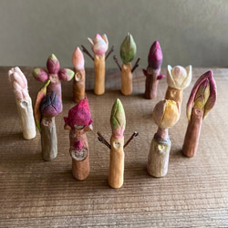 10002.bud 冬芽 7枚目の画像