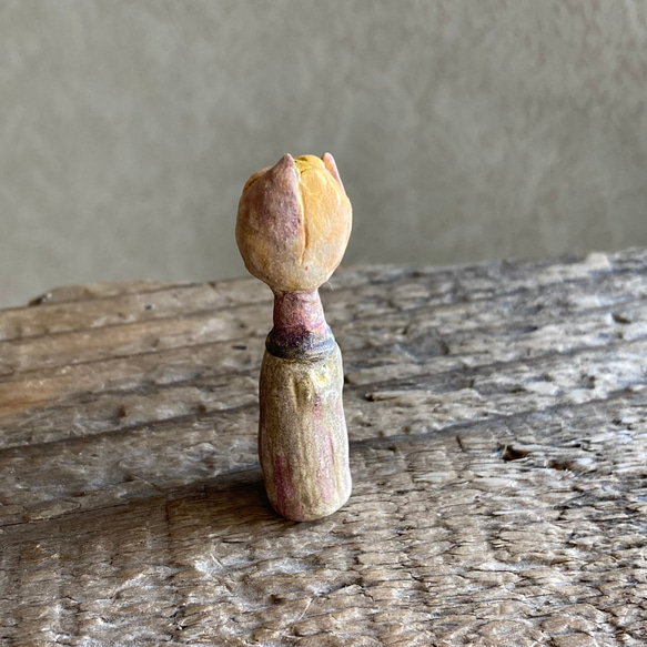 10002.bud 冬芽 2枚目の画像