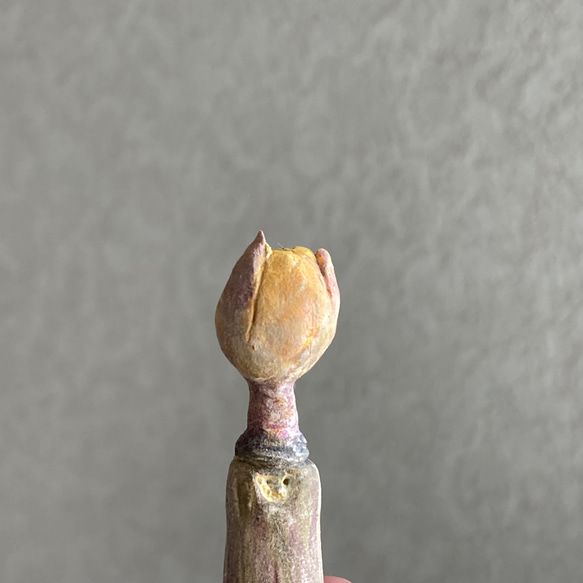 10002.bud 冬芽 5枚目の画像