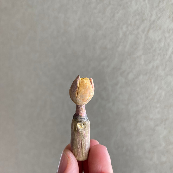 10002.bud 冬芽 6枚目の画像