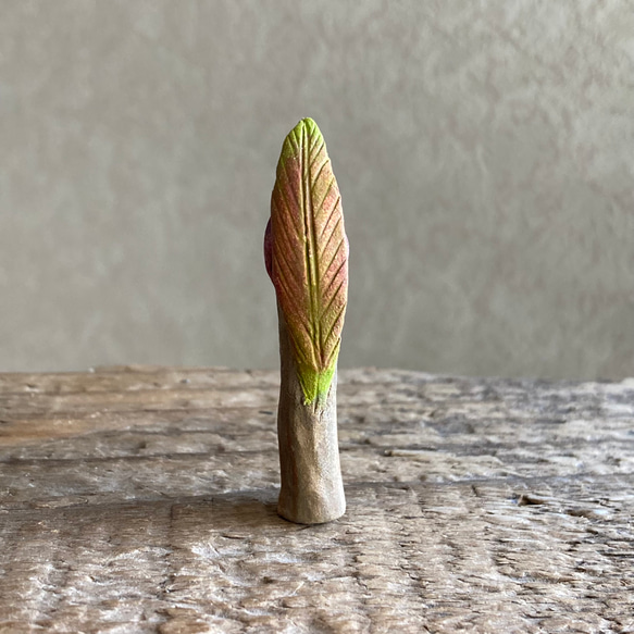 10004.bud 冬芽 4枚目の画像