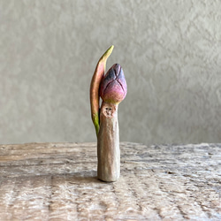 10004.bud 冬芽 1枚目の画像