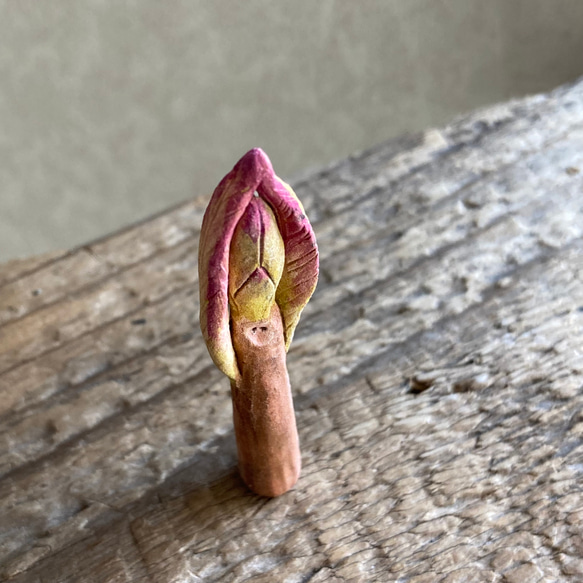 10005.bud 冬芽 2枚目の画像