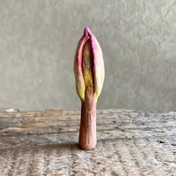 10005.bud 冬芽 4枚目の画像