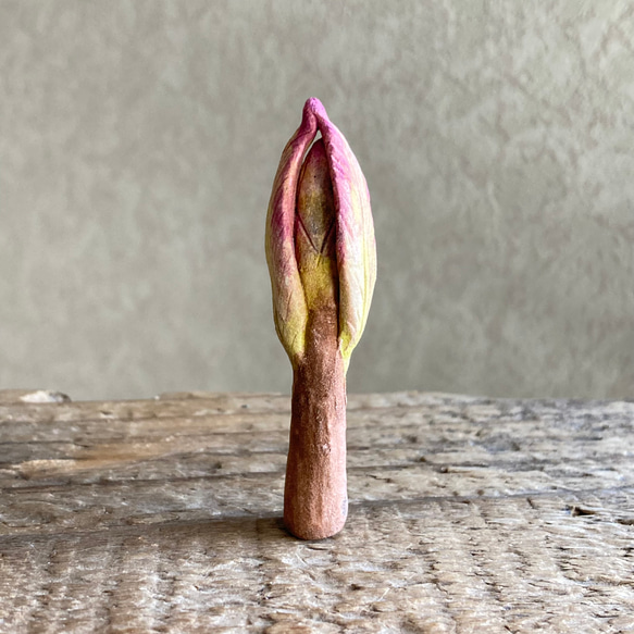 10005.bud 冬芽 4枚目の画像