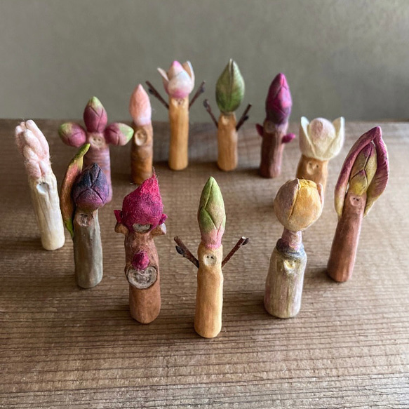 10005.bud 冬芽 7枚目の画像