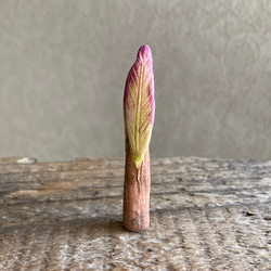 10005.bud 冬芽 3枚目の画像