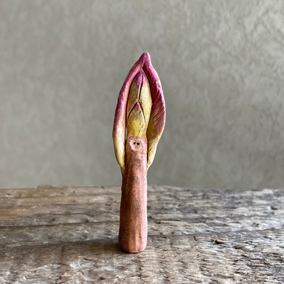 10005.bud 冬芽 1枚目の画像