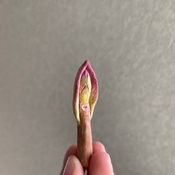 10005.bud 冬芽 6枚目の画像