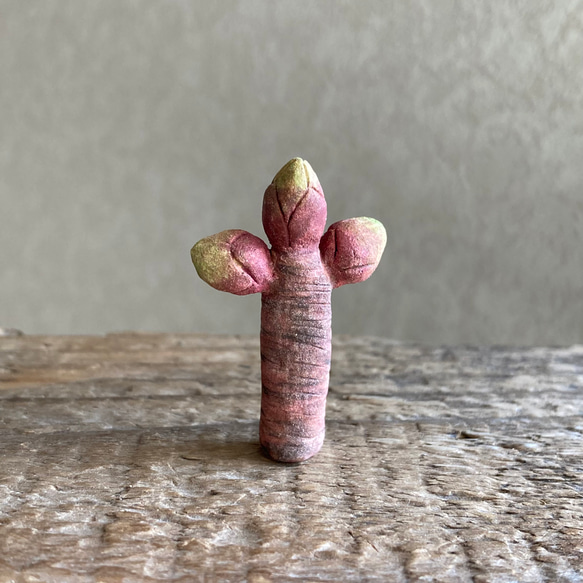 10006.bud 冬芽 3枚目の画像