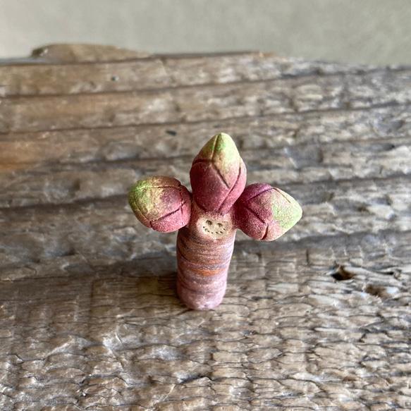 10006.bud 冬芽 2枚目の画像