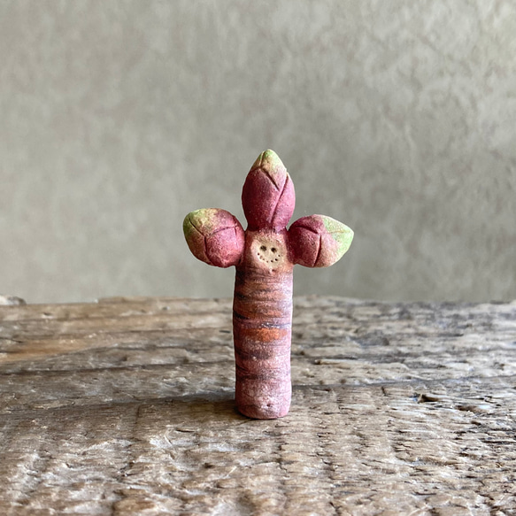 10006.bud 冬芽 1枚目の画像