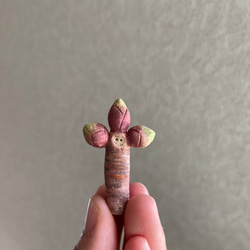 10006.bud 冬芽 5枚目の画像