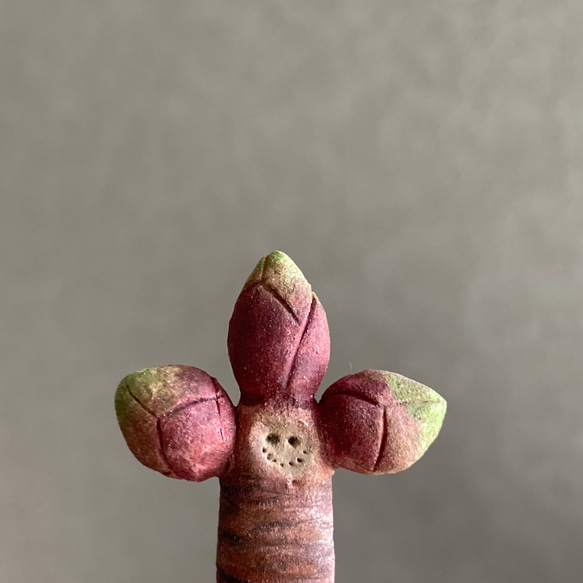 10006.bud 冬芽 4枚目の画像