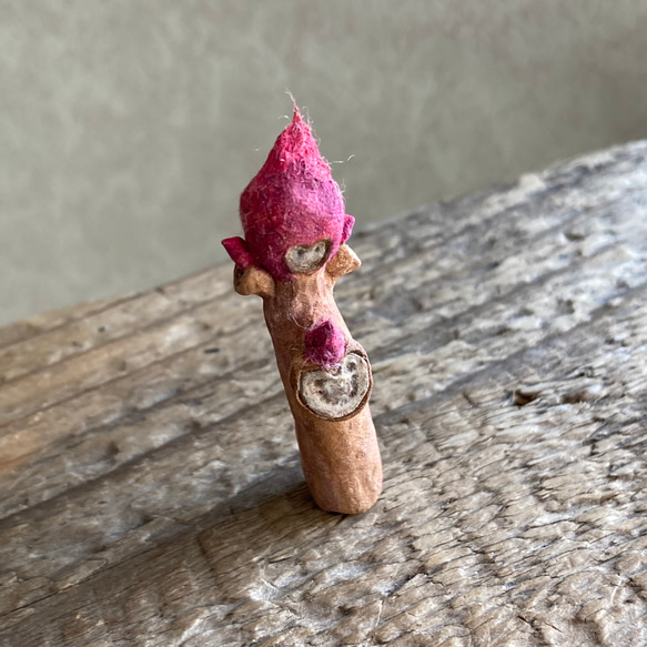 10007.bud 冬芽 2枚目の画像