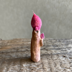 10007.bud 冬芽 5枚目の画像