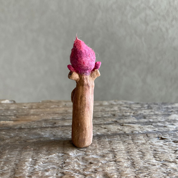 10007.bud 冬芽 6枚目の画像