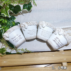 リメイク鉢 リメ鉢 2.5号鉢3点セット A-5 多肉植物 Felice piu + 通販