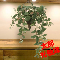 光触媒 人工観葉植物 ウォールグリーン フェイクグリーン ガジュマル