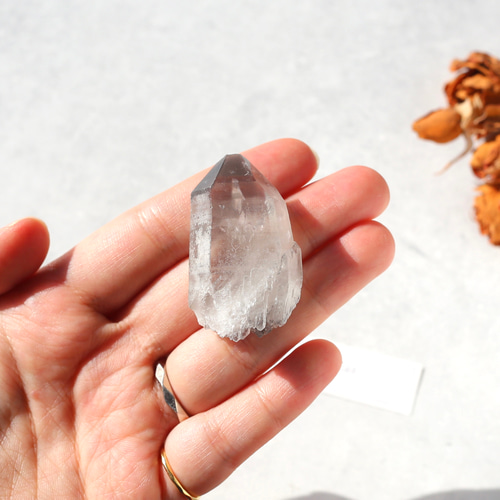 希少！ブラックレムリアンシード 天然石 水晶 鉱物 一点物 クォーツ