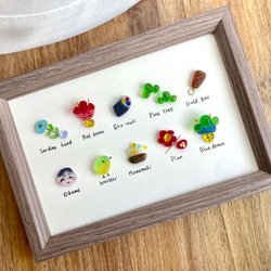 シーグラスアート☆No153 図鑑 ギフト プレゼント 父の日 海の生き物