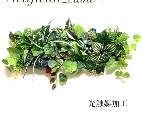 光触媒加工ウォールグリーン フェイクグリーン壁掛け♡ラズベリーとの