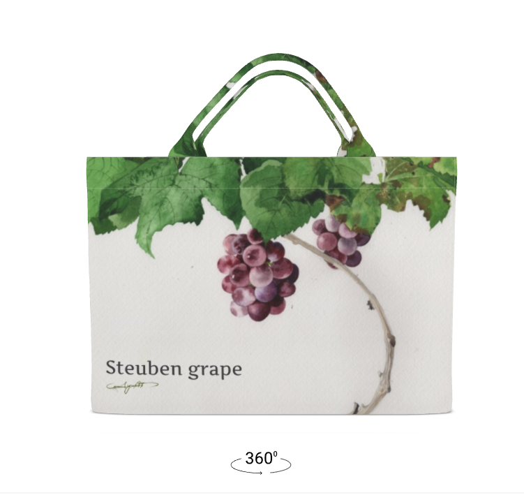 ファブリックキャリーオールトート　スチューベン