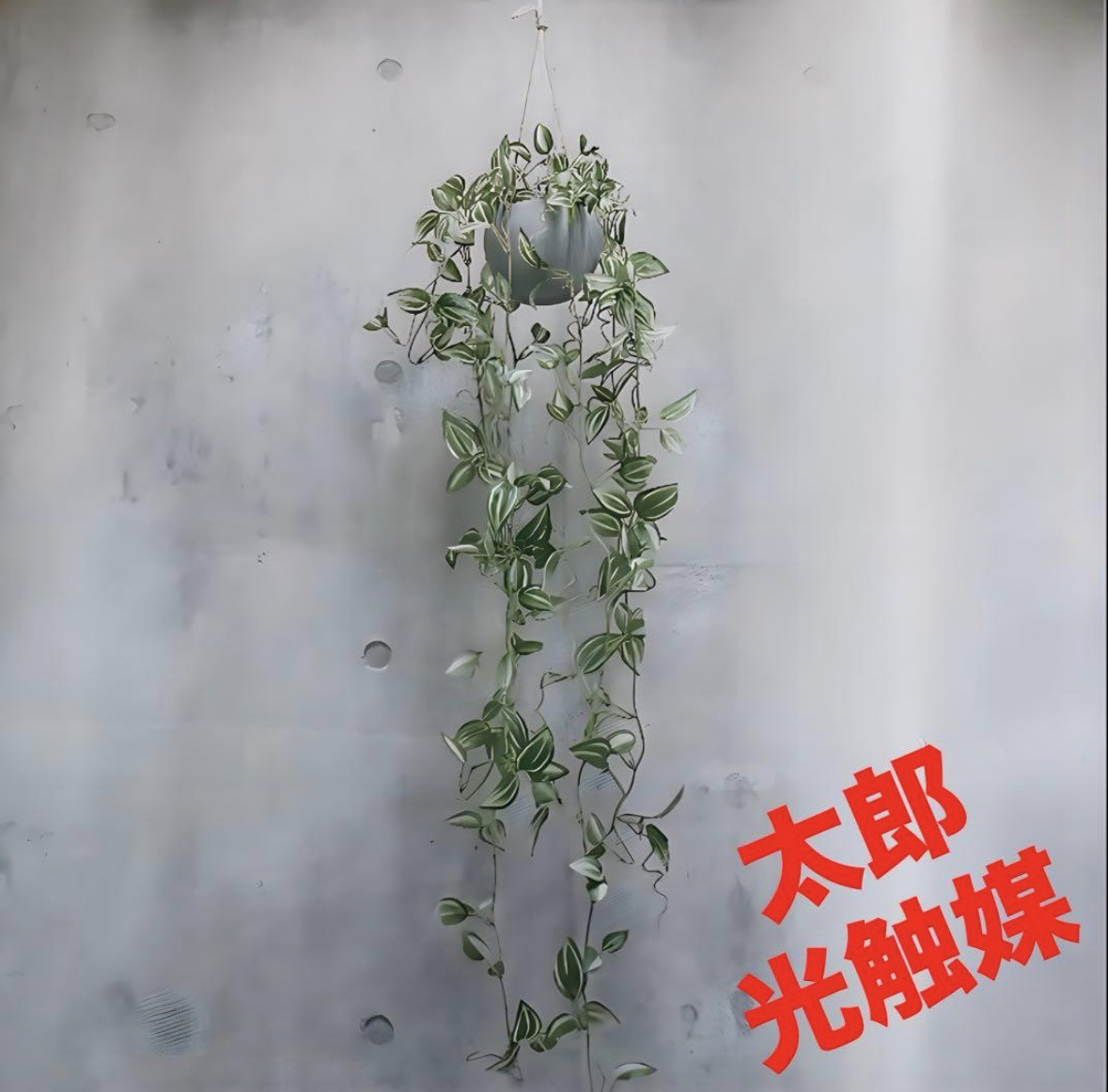 光触媒　人工観葉植物　ウォールグリーン　フェイクグリーン　トラディスカンティアH