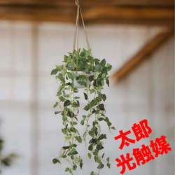光触媒 人工観葉植物 ウォールグリーン フェイクグリーン フィロ