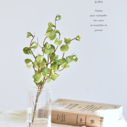 タニクグリーンアップル！？ 青りんごと多肉植物 フェイクグリーン