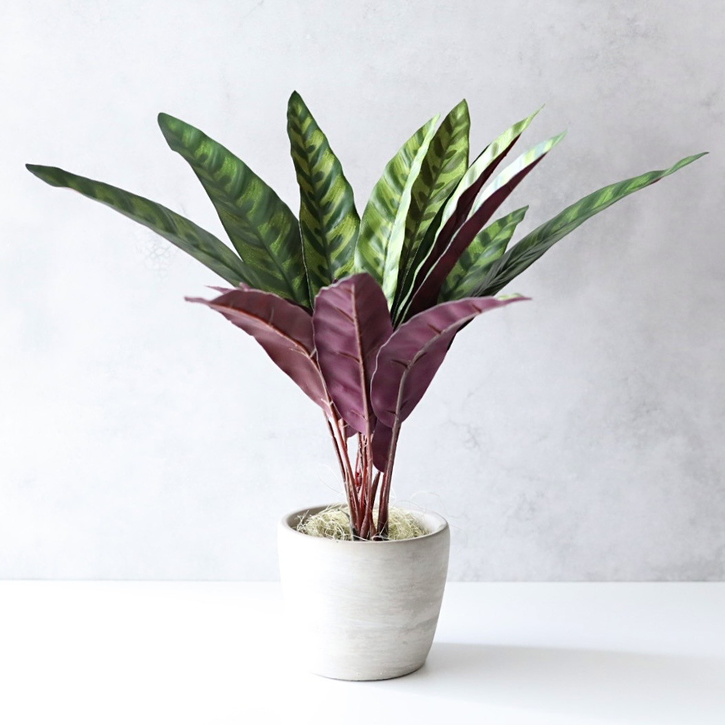 カラテア フェイクグリーン 観葉植物 鉢植え 造花水やり不要インテリア玄関リビング卓上