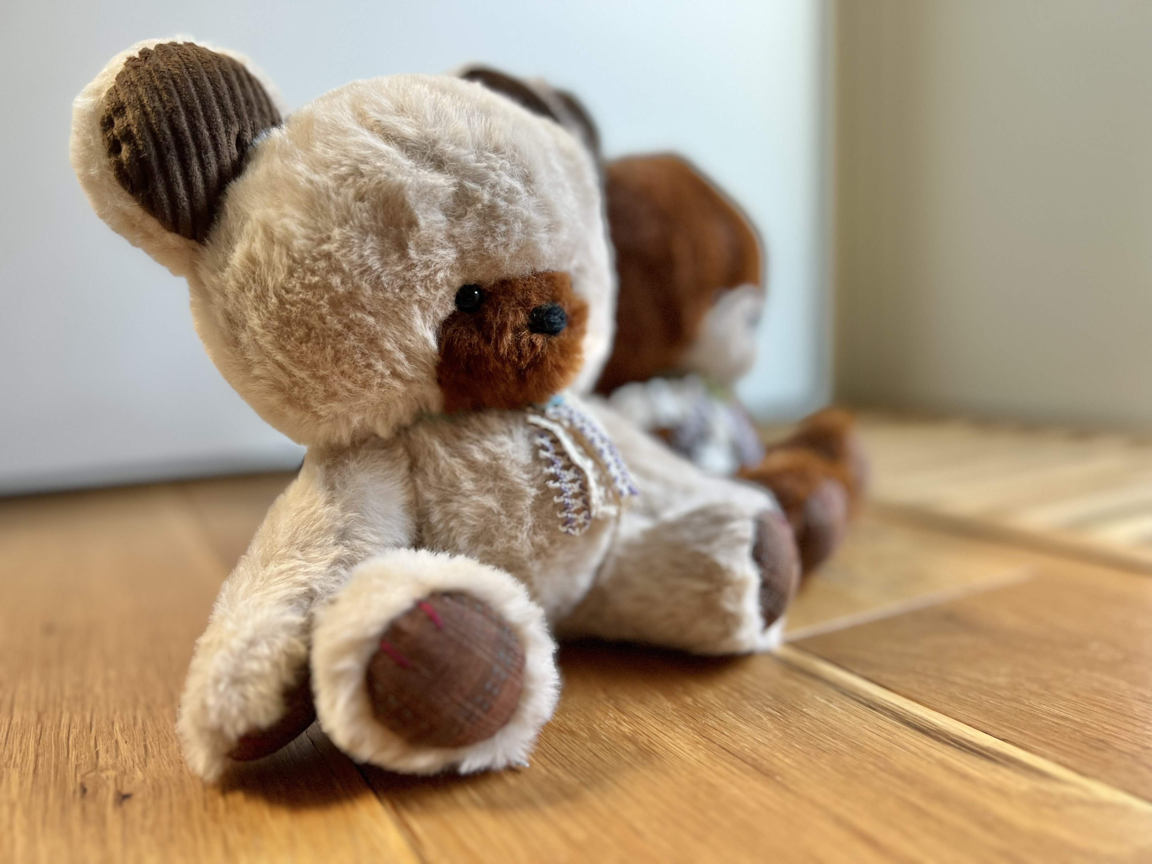 くまのぬいぐるみ　「ミッテ」シリーズ