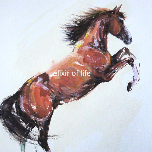 立ち上がる馬2026（高級水彩画用紙31cm×40，5cm、水彩