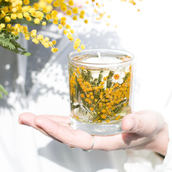 早割》ミモザのアロマキャンドル ミモザ2026 キャンドル・キャンドル