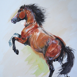 立ち上がる馬(高級水彩画用紙、F4, 24cm×33，5cm、墨、水彩