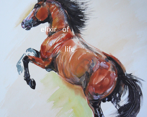 立ち上がる馬2026,2（高級水彩画用紙31cm×40，5cm、水彩