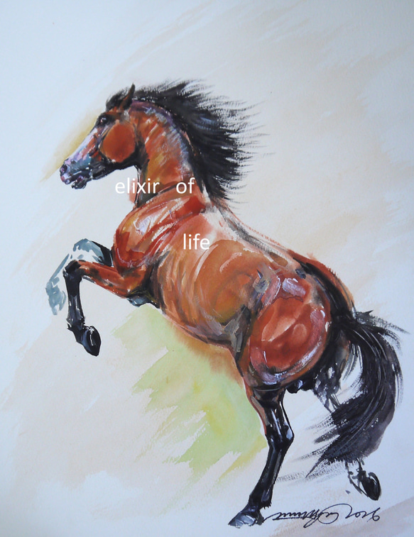 馬の水彩画 オレンジと黒 水彩画 暴れ馬 絵画 makochin 通販 17825403｜Creema(クリーマ)