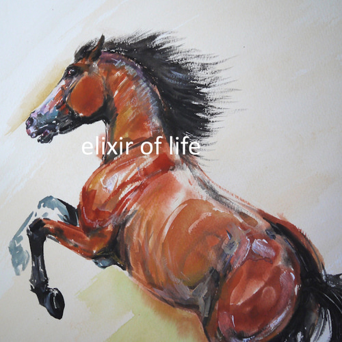立ち上がる馬2026,2（高級水彩画用紙31cm×40，5cm、水彩