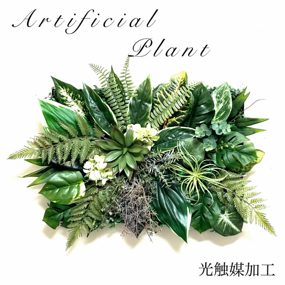 光触媒加工ウォールグリーン フェイクグリーン壁掛け♡中型♡ アート