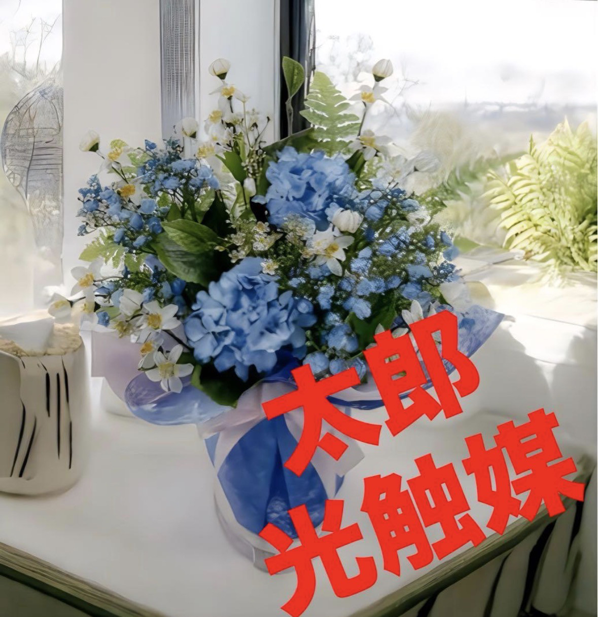 光触媒　人工観葉植物　ウォールグリーン　フェイクグリーン　アコリン？ブルー