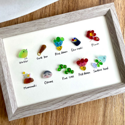 シーグラスアート☆No153 図鑑 ギフト プレゼント 父の日 海の生き物