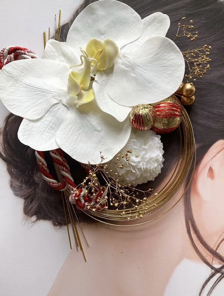 胡蝶蘭　紅白紐髪飾り　くす玉　水引　花嫁ヘア　成人式ヘア　謝恩会　和装髪飾り　ブライダル