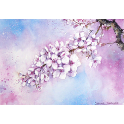 原画】春の並木道（水彩画）送料無料☆森 風景 絵画 #2977 絵画 Yukari