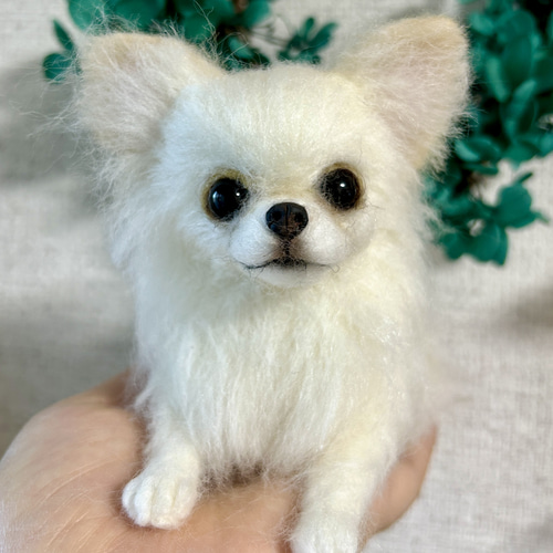 羊毛犬 羊毛フェルト ぱっちりお目目のチワワちゃん 羊毛フェルト