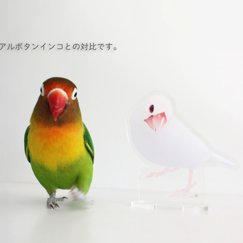 ほぼほぼ等身大!?アクスタ「白文鳥」 その他雑貨 とりアート 通販